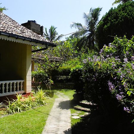 Top Of The Hill Guesthouse Weligama Exterior foto
