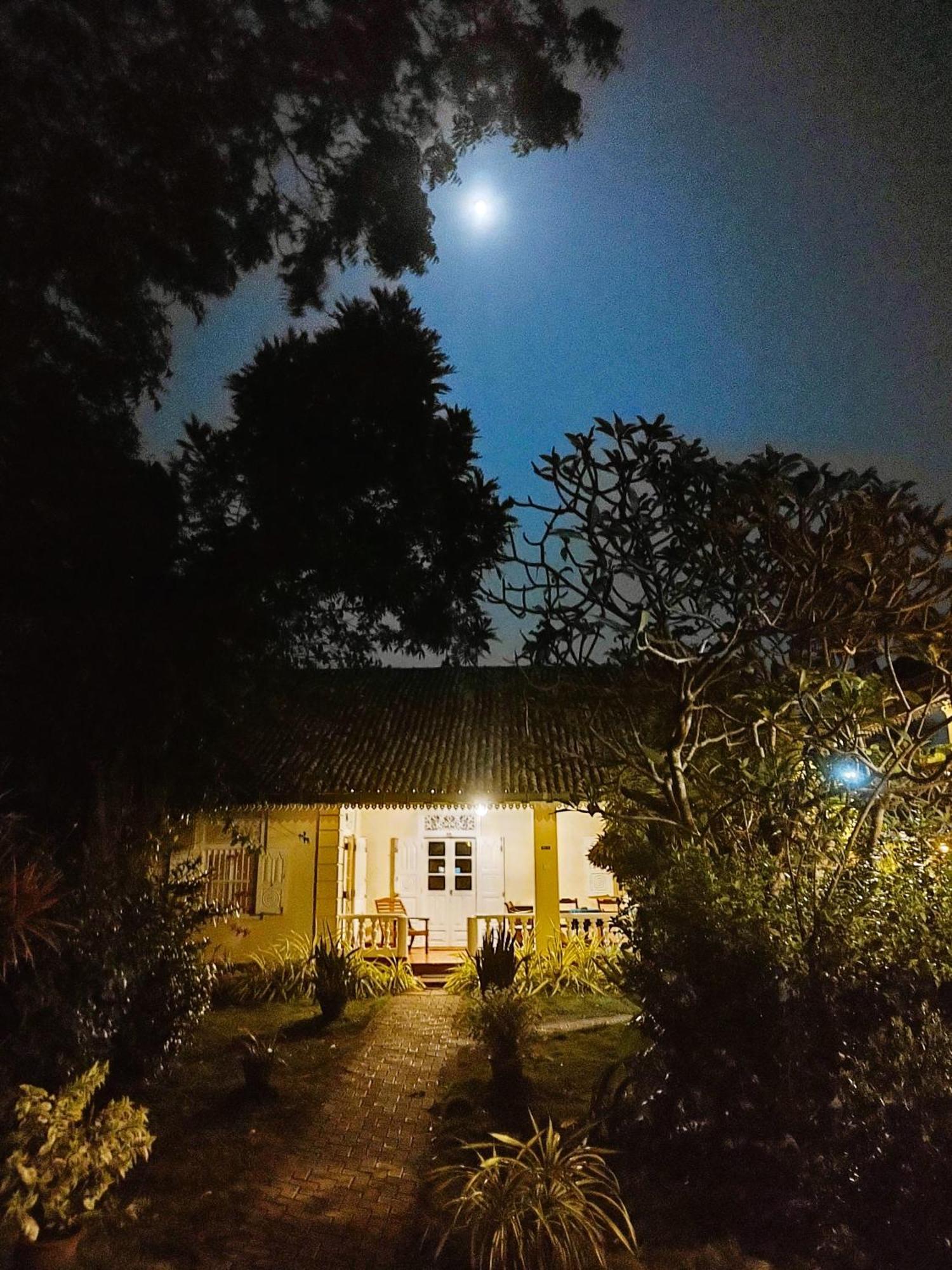 Top Of The Hill Guesthouse Weligama Habitación foto